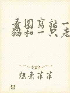 看图写话一只小猫和一只老鼠