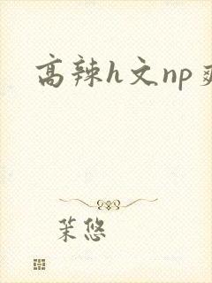 高辣h文np爽