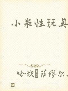 小米性玩具日记