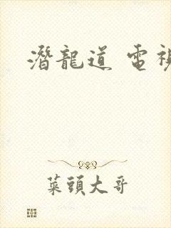 潜龙道 电视剧封面