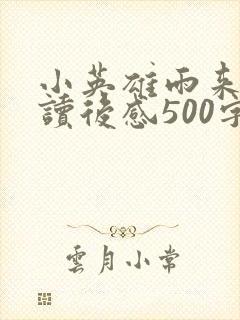 小英雄雨来全书读后感500字