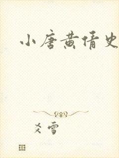 小唐黄倩史