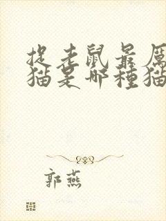 捉老鼠最厉害的猫是哪种猫