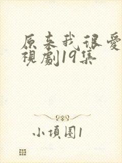 原来我很爱你电视剧19集