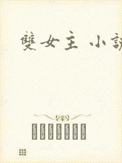 双女主 小说封面