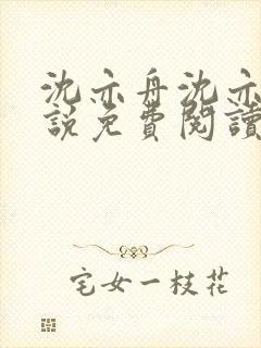 沈亦舟沈亦川小说免费阅读最新章节封面