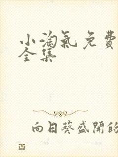 小淘气免费观看全集封面