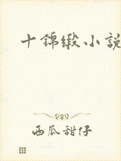 十锦缎小说