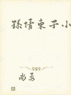 孙倩东子小说