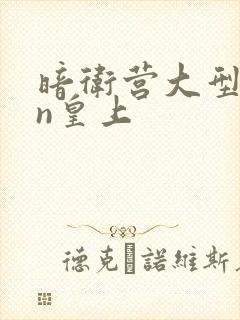 暗卫营大型hpn皇上