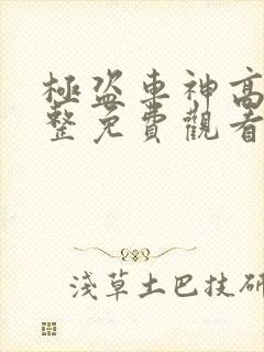 极盗车神高清完整免费观看