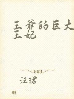 王爷的巨大进入王妃封面