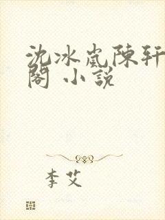 沈冰岚陈轩笔趣阁 小说