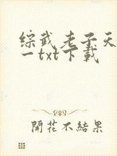综武老子天下第一txt下载
