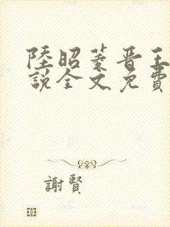 陆昭菱晋王的小说全文免费阅读封面