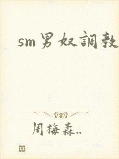 sm男奴调教文