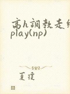 高h调教走绳 play(np)