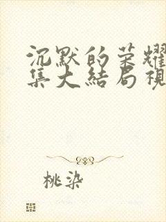 沉默的荣耀38集大结局视频封面