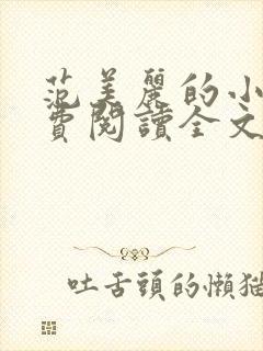 范美丽的小说免费阅读全文最新章节