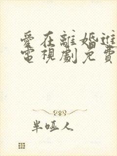 爱在离婚进行时电视剧免费全集