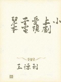 儿子爱上小妈日本电视剧