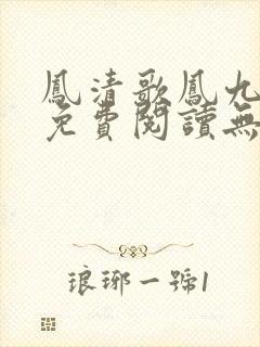 凤清歌凤九全文免费阅读无弹窗