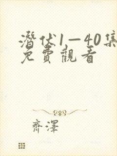 潜伏1—40集免费观看封面