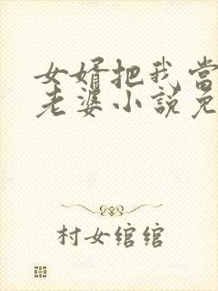 女婿把我当成他老婆小说免费阅读封面