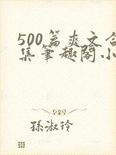 500篇爽文合集笔趣阁小说封面