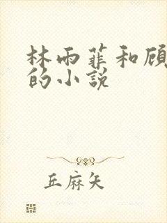 林雨菲和顾北潇的小说