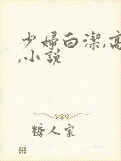 少妇白洁,高义,小说
