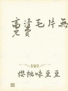 高清毛片无遮挡免费