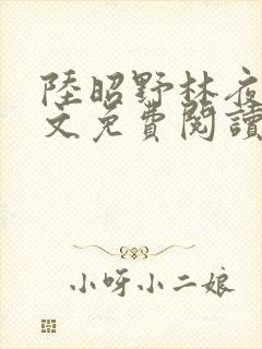 陆昭野林夜棠全文免费阅读最新章节封面