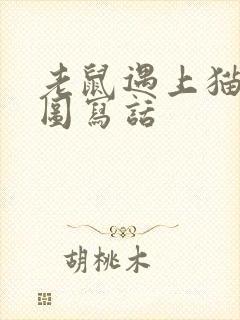 老鼠遇上猫的看图写话