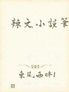 辣文小说笔趣阁