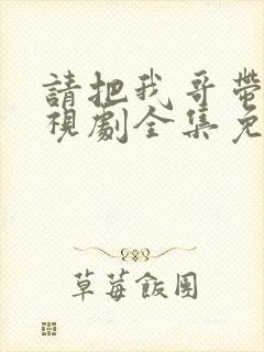 请把我哥带走电视剧全集免费观看封面