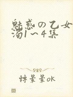 魅惑の乙女と白浊1～4集封面