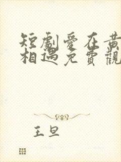 短剧爱在黄昏前相遇免费观看封面