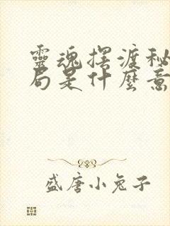 灵魂摆渡秘密结局是什么意思