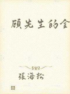 顾先生的金丝雀封面