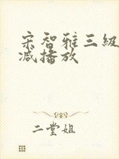 宋智雅三级无删减播放封面