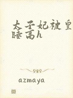 太子妃被皇上强睡高h