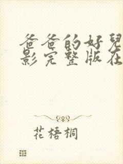 爸爸的好儿子电影完整版在线观看