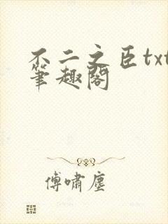 不二之臣txt笔趣阁封面