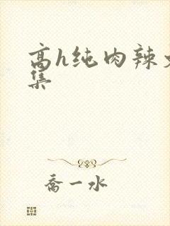 高h纯肉辣文合集