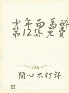 少年白马醉春风第12集免费观看