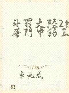 斗罗大陆2绝世唐门中的王冬