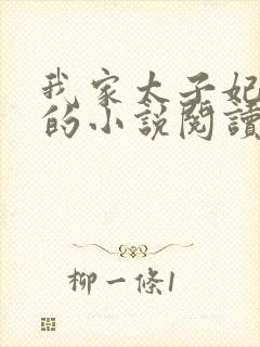 我家太子妃超凶的小说阅读全文