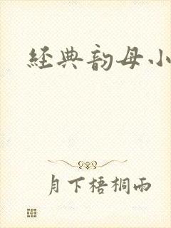 经典韵母小说封面