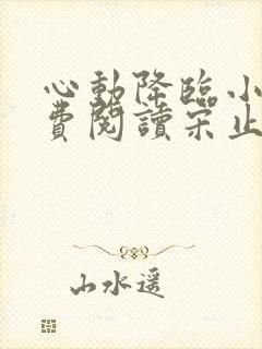 心动降临小说免费阅读宋止舟全文